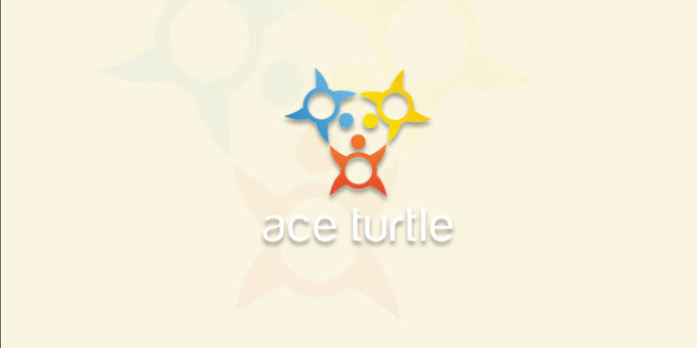 Ace Turtle  image